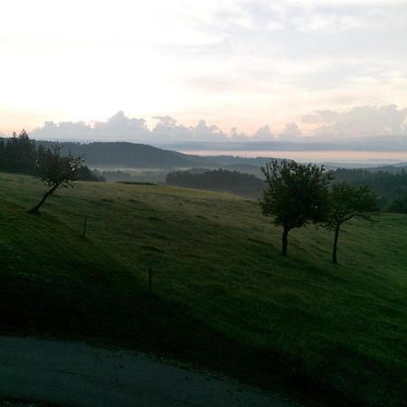 Ferienwohnung Urlaub An Der Grenze Lauterbach  Exterior foto