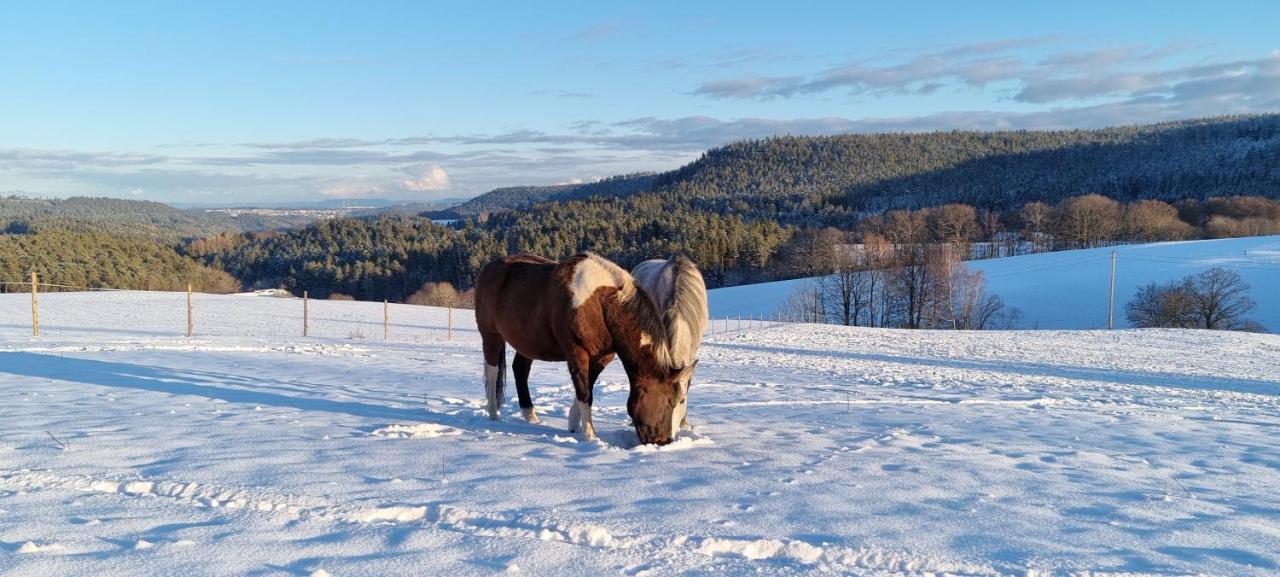 Ferienwohnung Urlaub An Der Grenze Lauterbach  Exterior foto